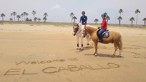 海の乗馬クラブ エルカバージョ