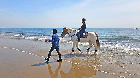 海の乗馬クラブ エルカバージョ