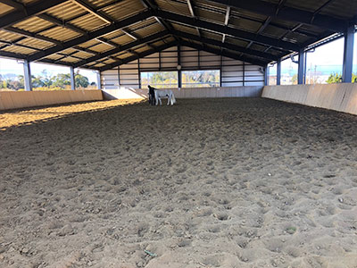 屋内馬場